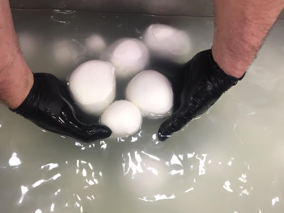 mozzarella-bufala